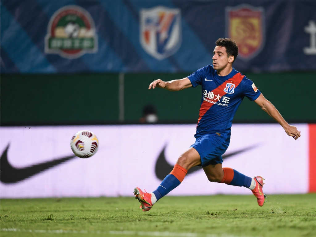 无论是哈兰 无论是哈兰